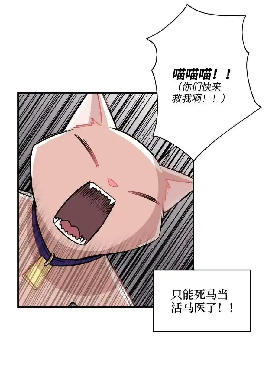 《为喵人生》26 尘埃落定 第41页
