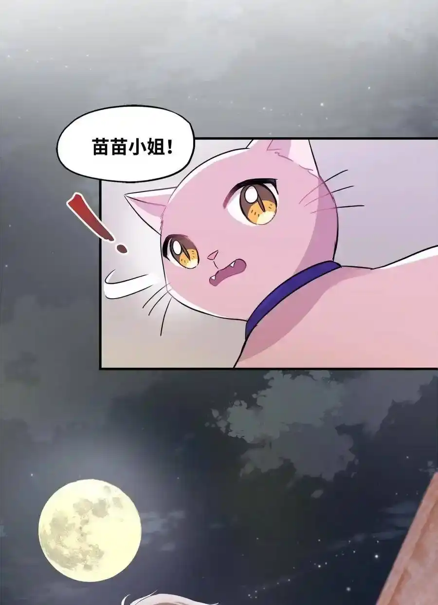 《为喵人生》26 尘埃落定 第50页