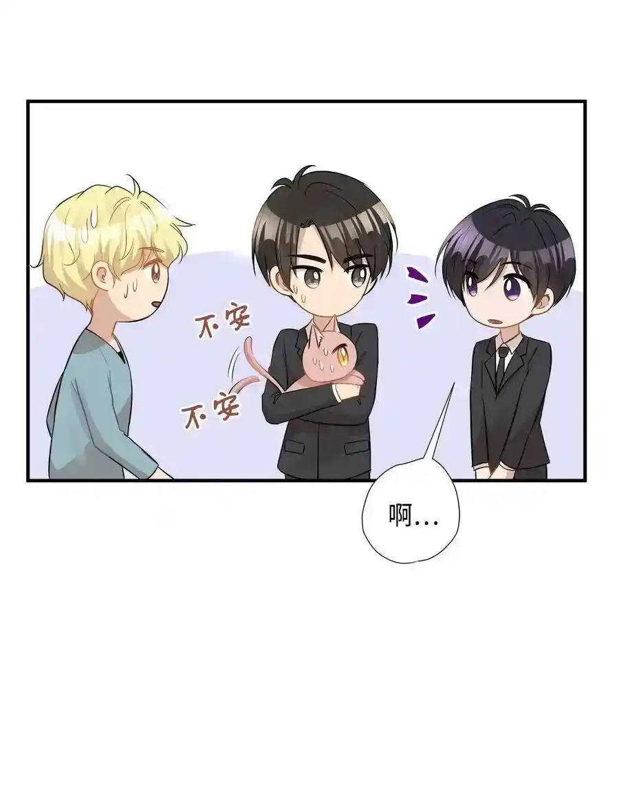 《为喵人生》28 我想要总监 第17页