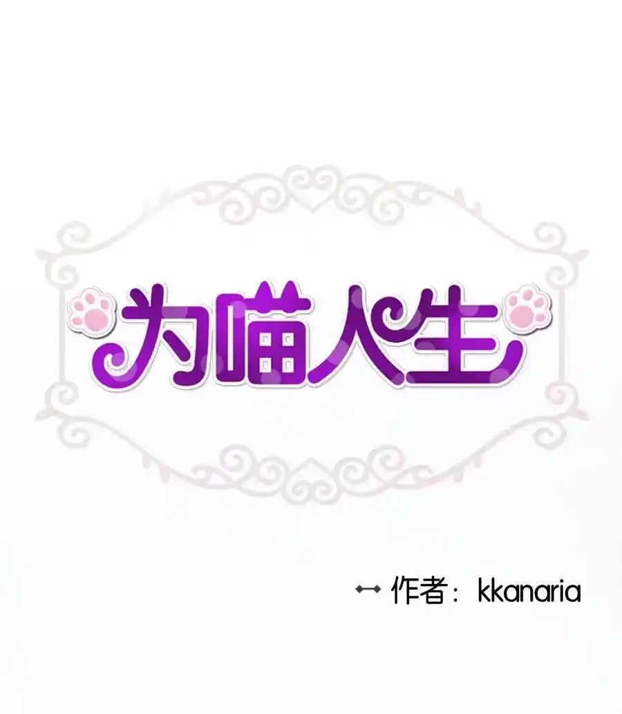 《为喵人生》29 期限 第1页