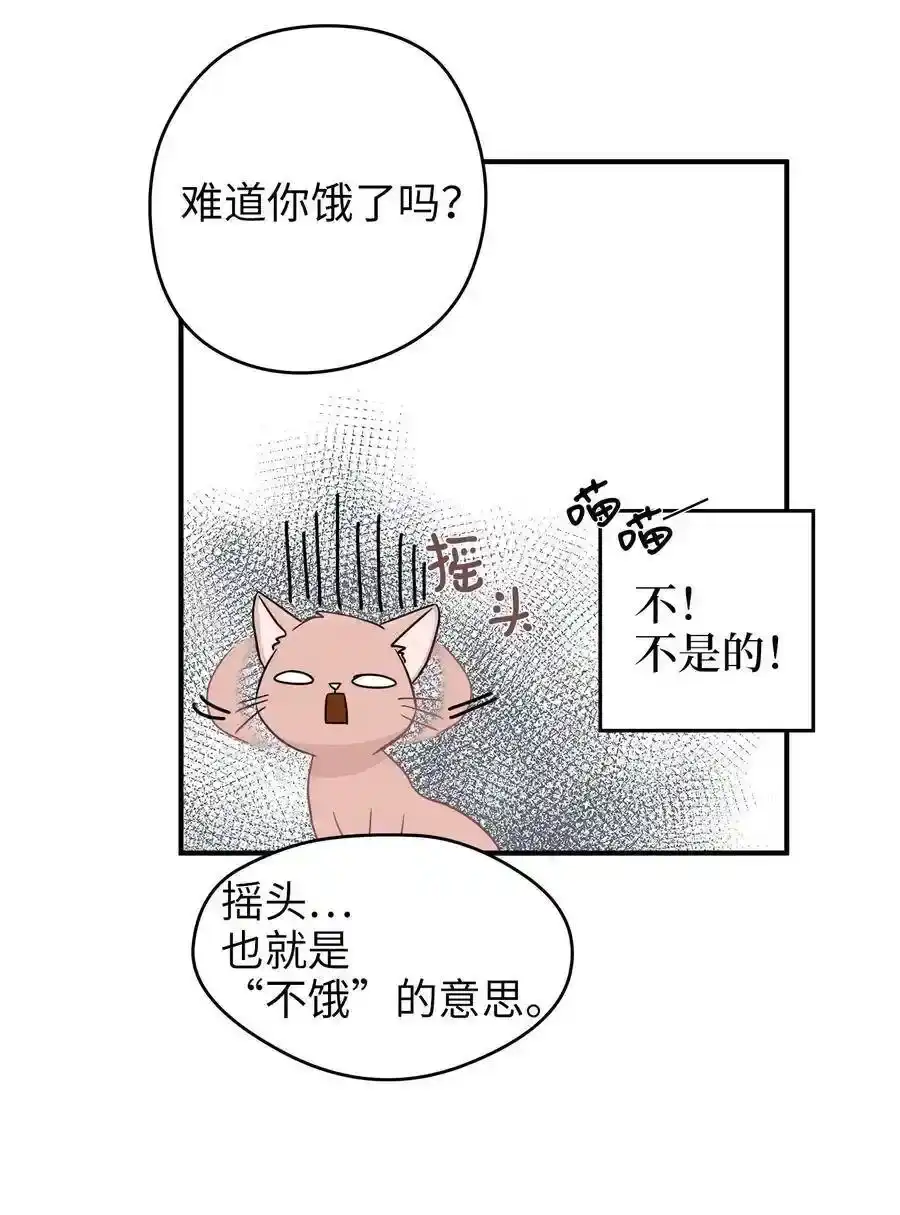 《为喵人生》03 同居 第12页