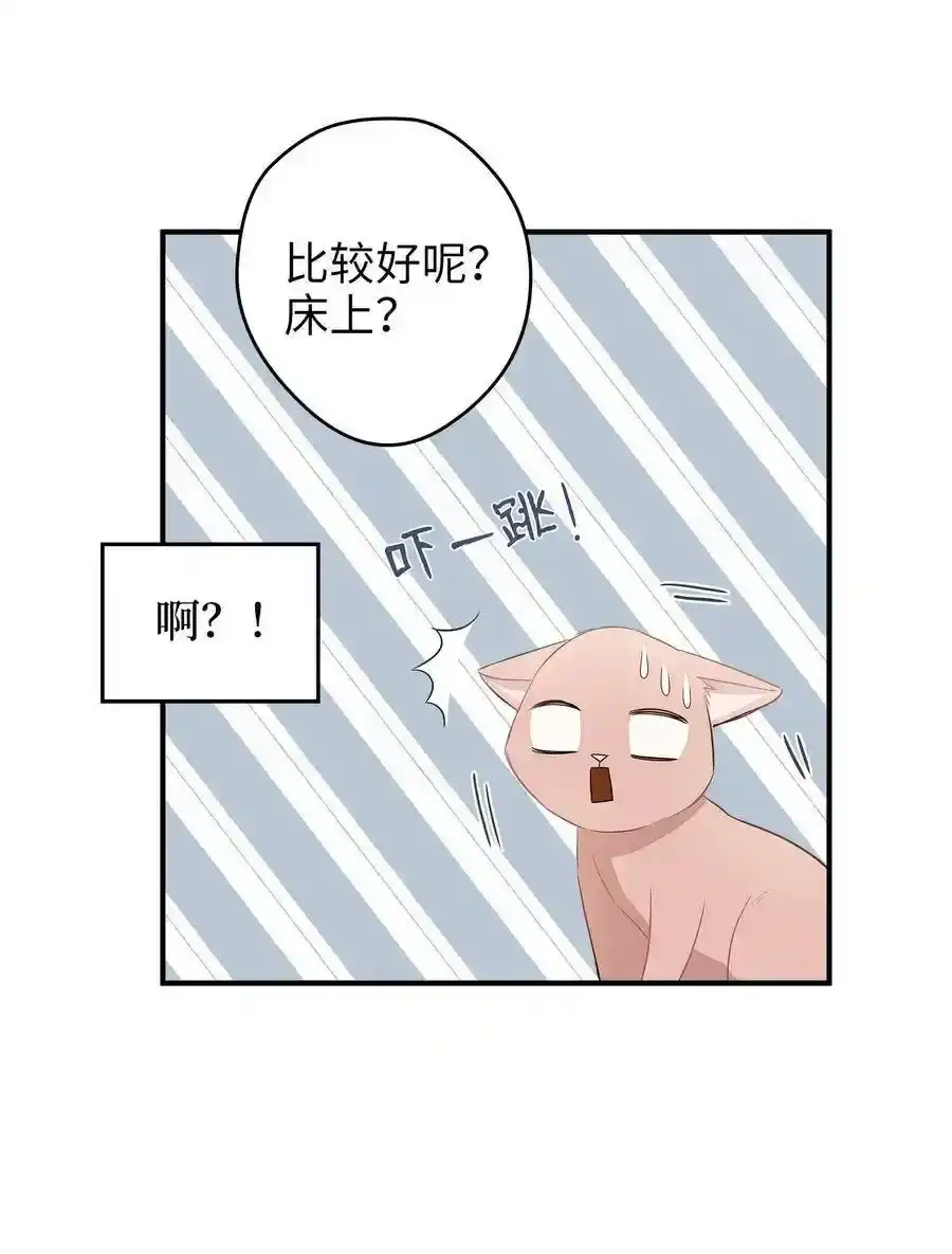 《为喵人生》03 同居 第8页