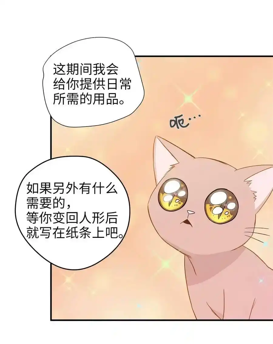 《为喵人生》03 同居 第14页
