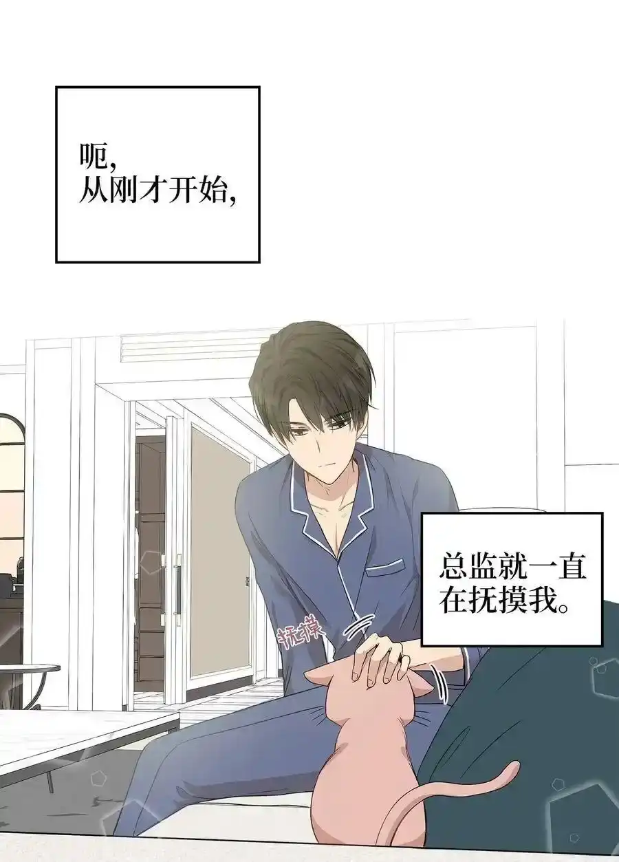 《为喵人生》03 同居 第3页