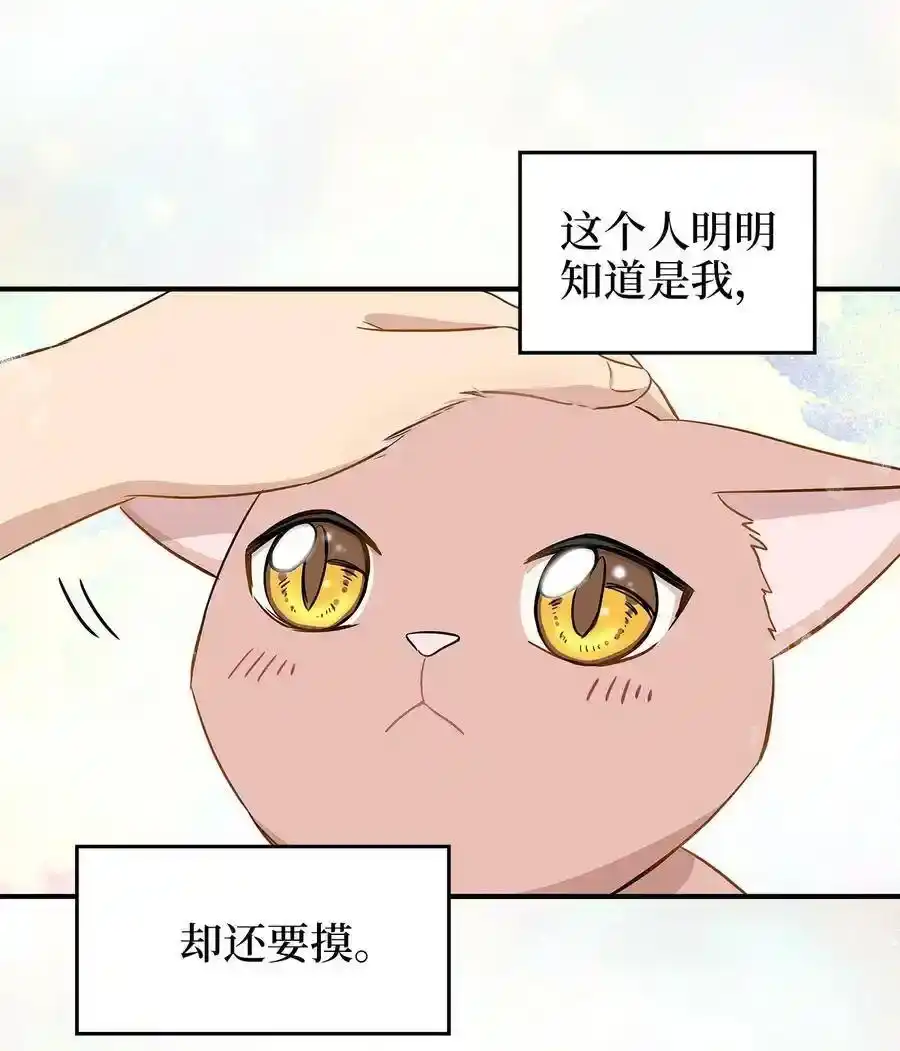 《为喵人生》03 同居 第5页