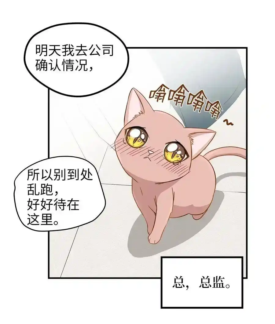 《为喵人生》03 同居 第17页