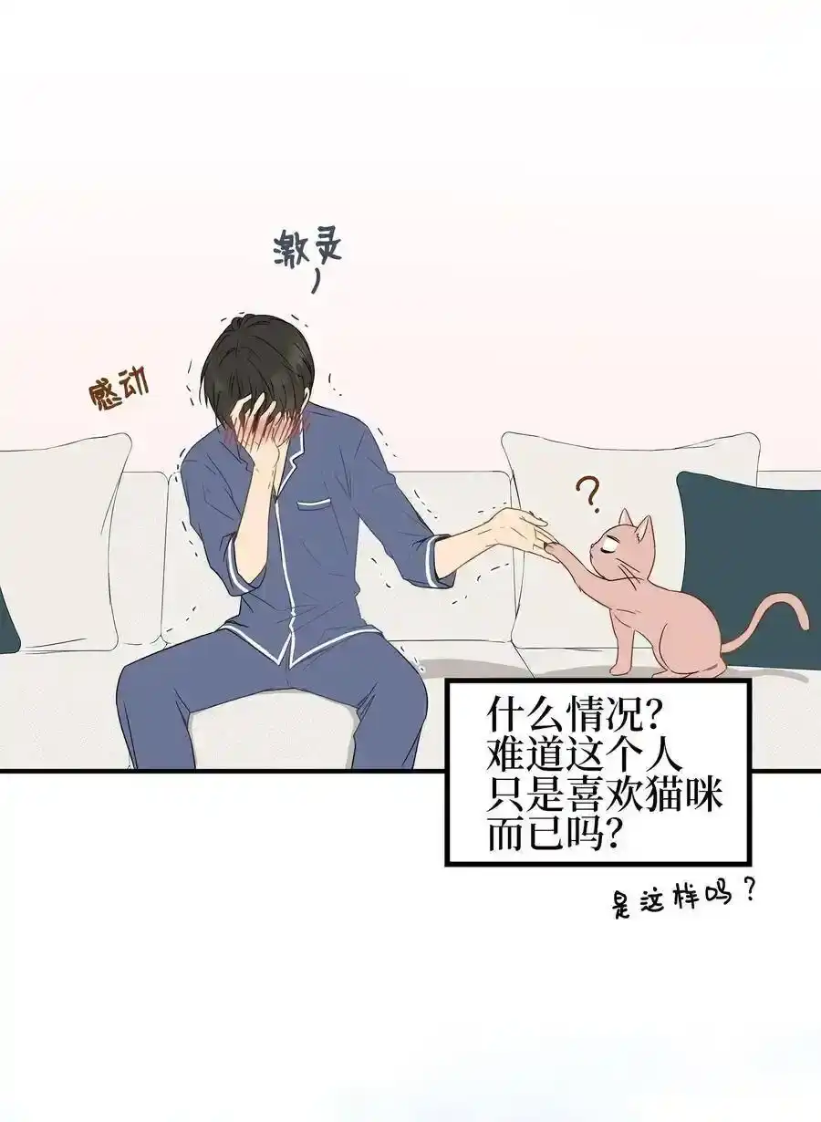 《为喵人生》03 同居 第20页