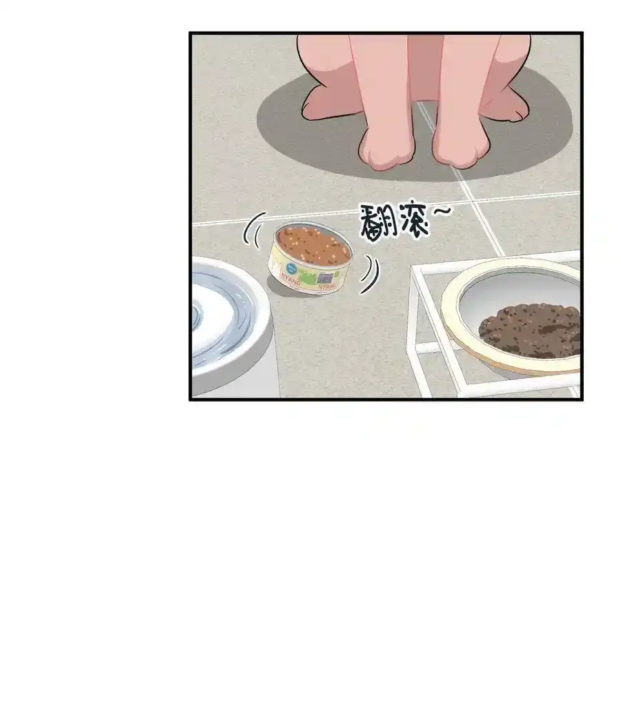 《为喵人生》30 感情 第42页