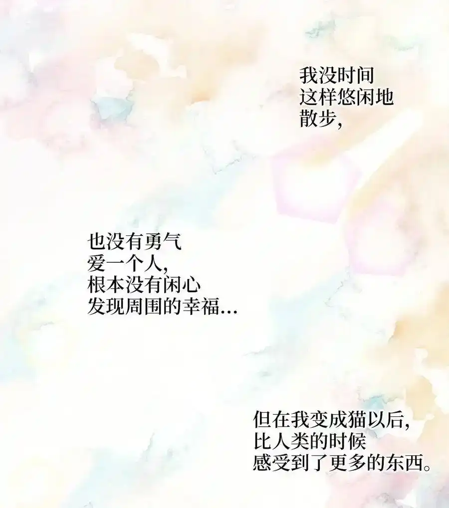 《为喵人生》30 感情 第69页