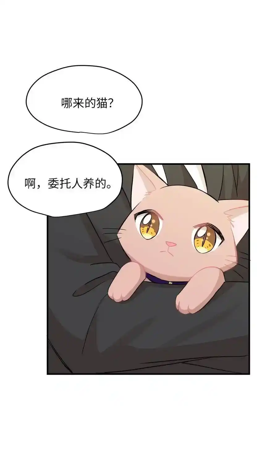 《为喵人生》30 感情 第54页