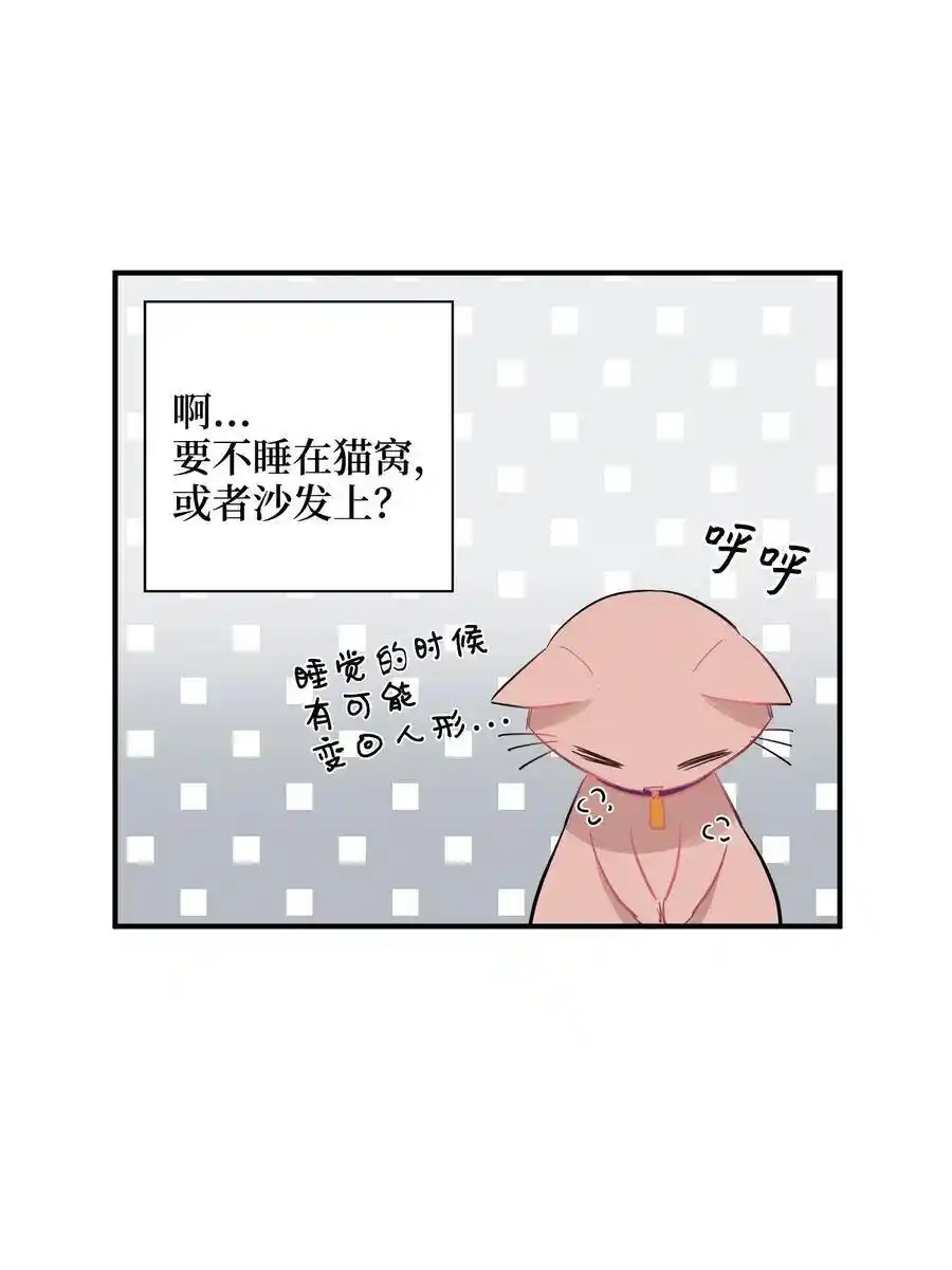 《为喵人生》35 不小心爬上总监的床 第4页