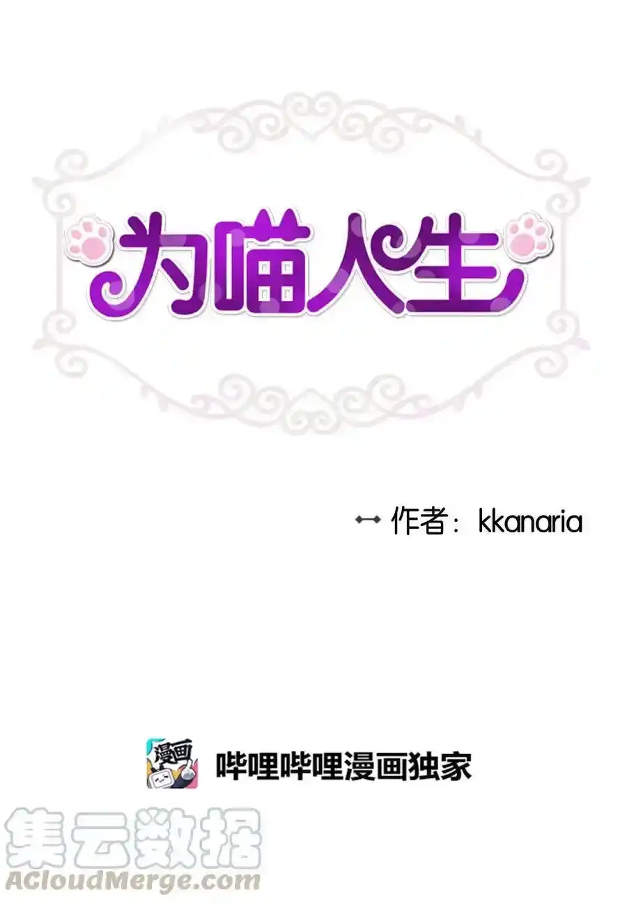 《为喵人生》39 寻找 第5页