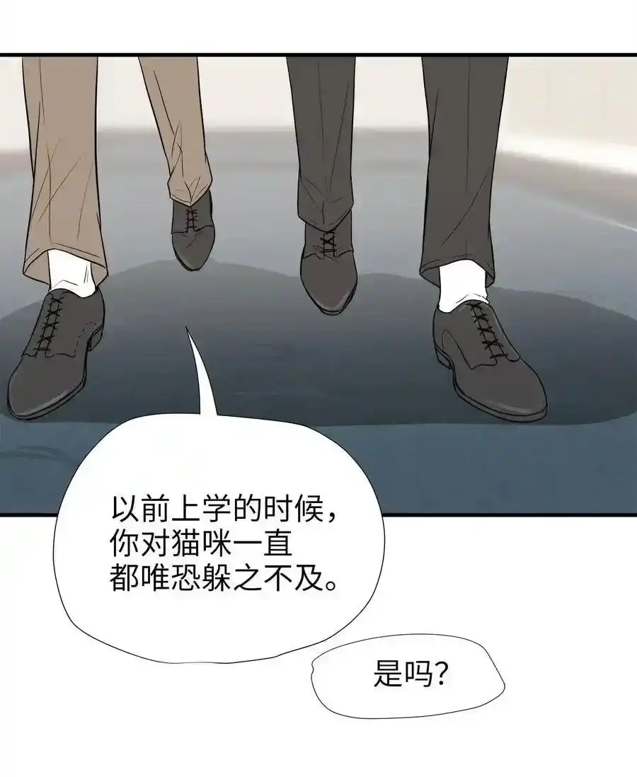 《为喵人生》04 不速之客 第37页