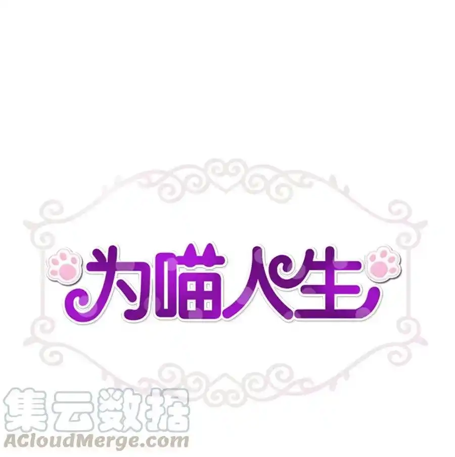 《为喵人生》41 美美 第1页