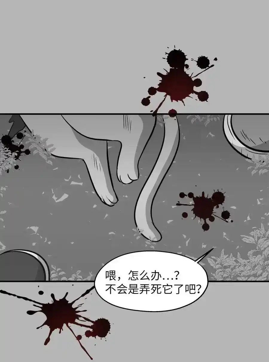 《为喵人生》41 美美 第39页
