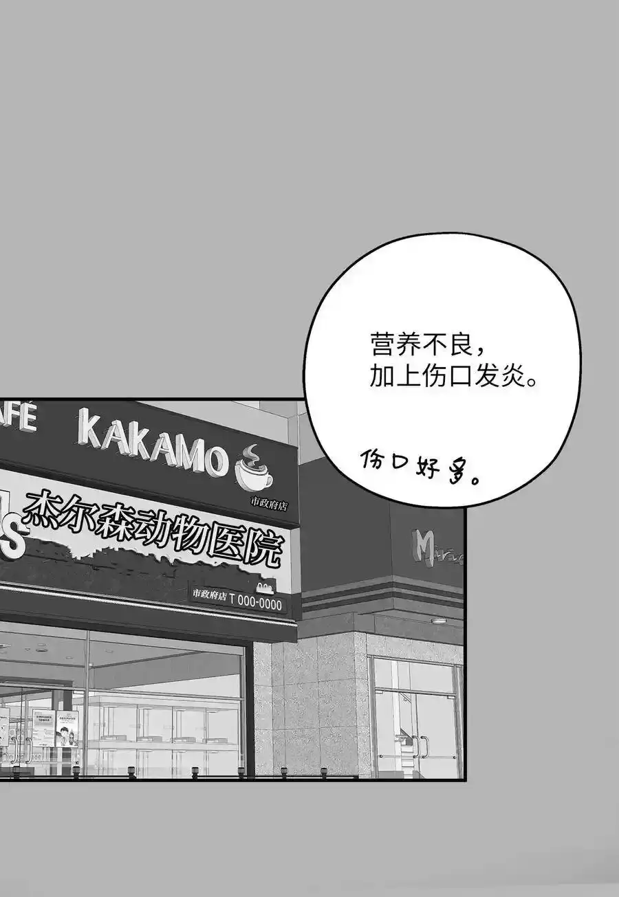 《为喵人生》41 美美 第23页