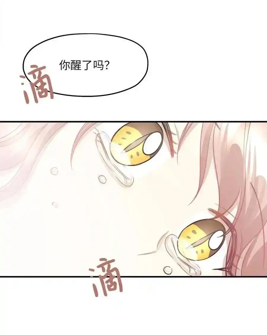 《为喵人生》41 美美 第42页