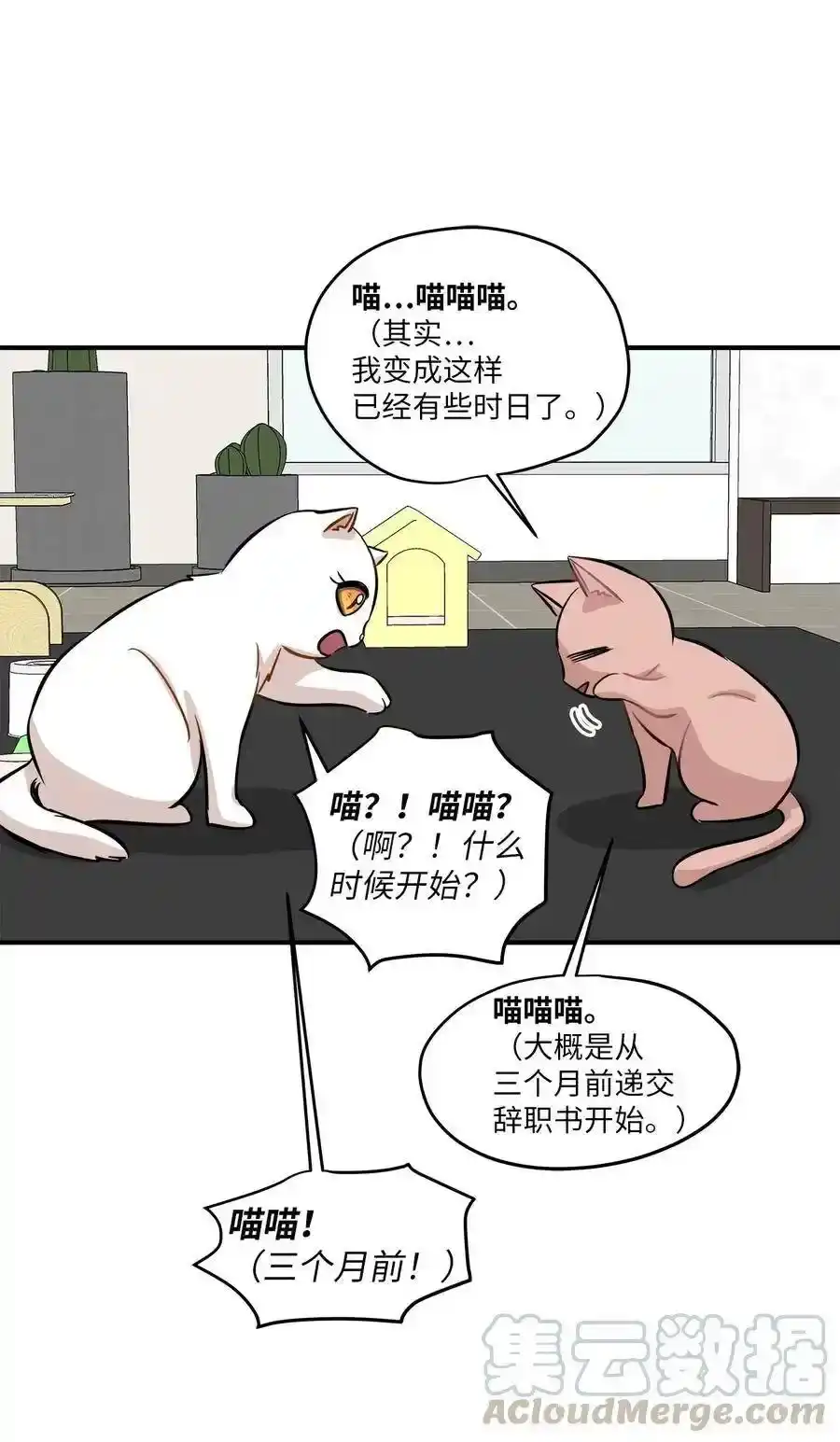 《为喵人生》44 隋仙华 第21页