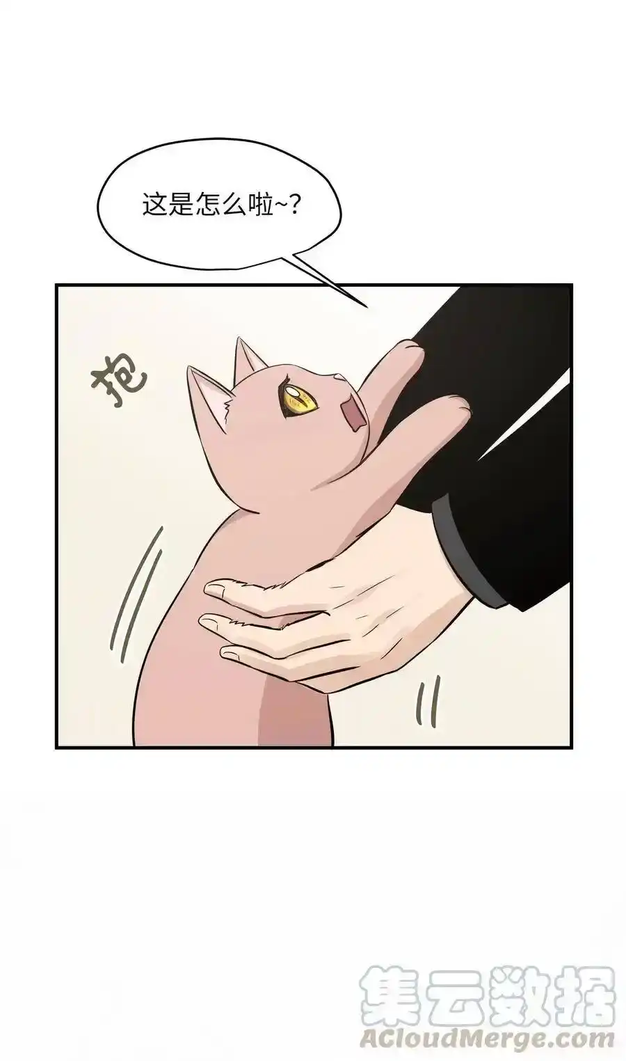 《为喵人生》44 隋仙华 第61页