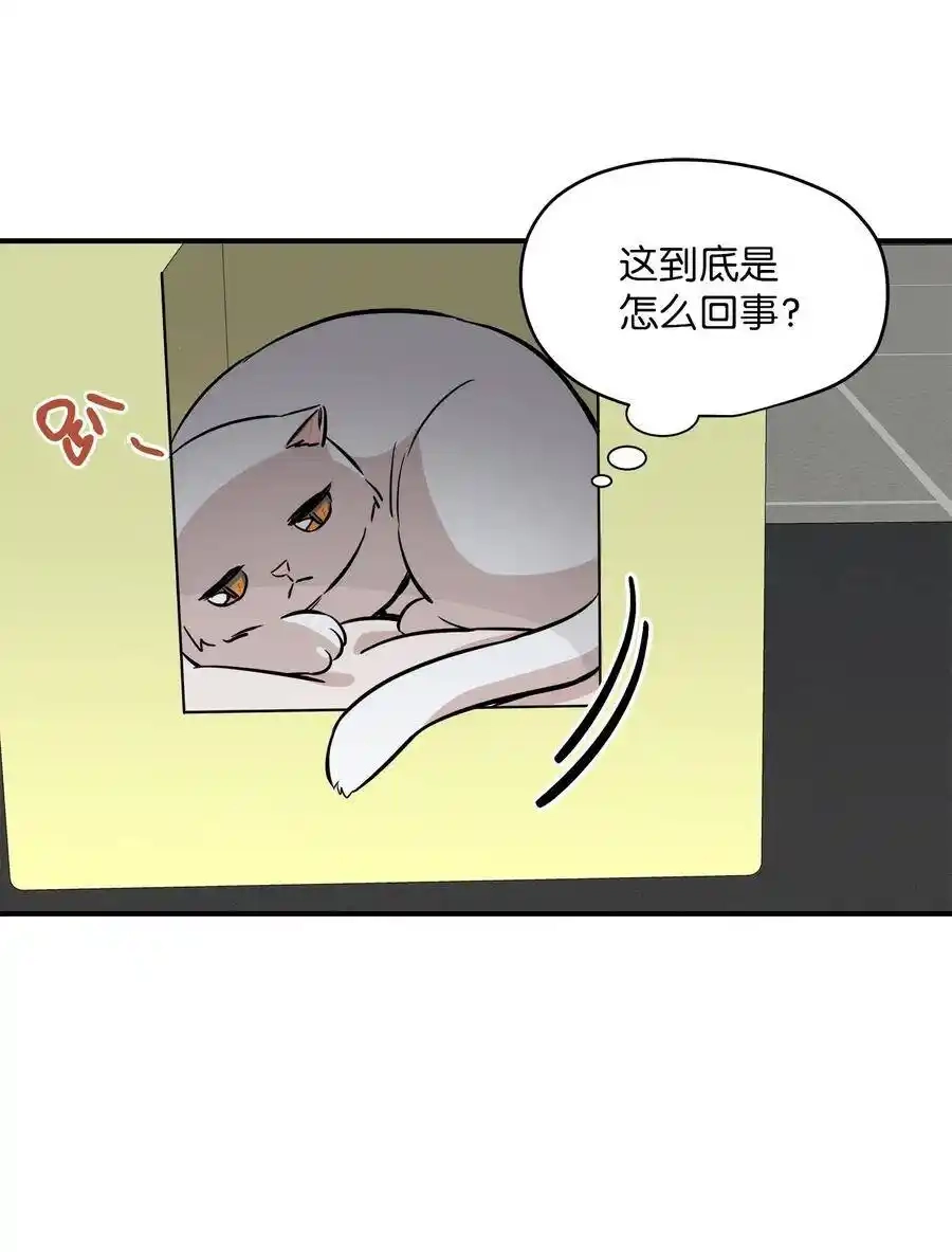 《为喵人生》44 隋仙华 第32页