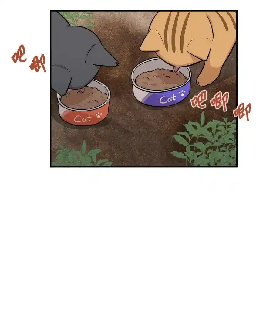 《为喵人生》44 隋仙华 第11页