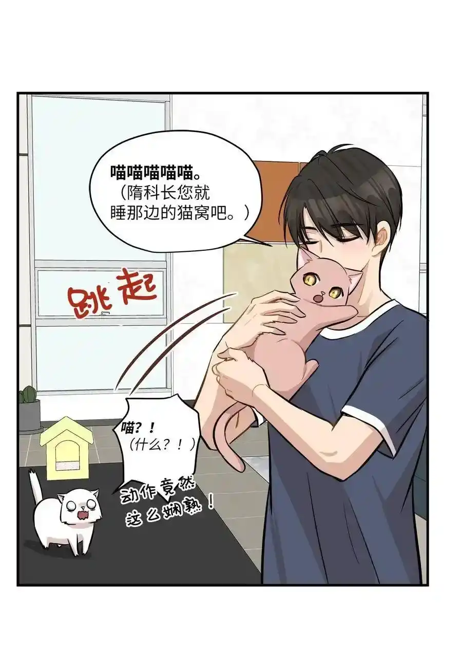 《为喵人生》44 隋仙华 第28页