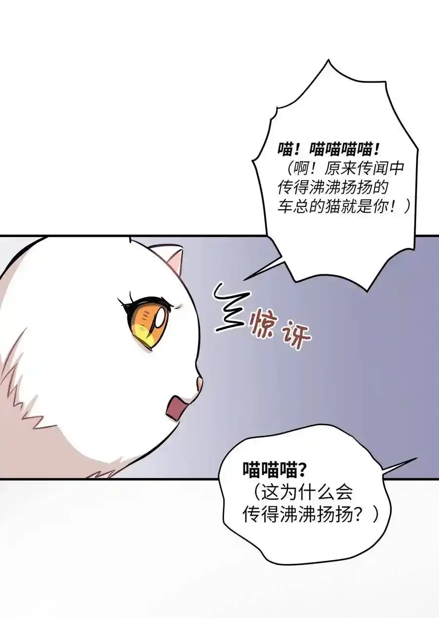 《为喵人生》44 隋仙华 第22页