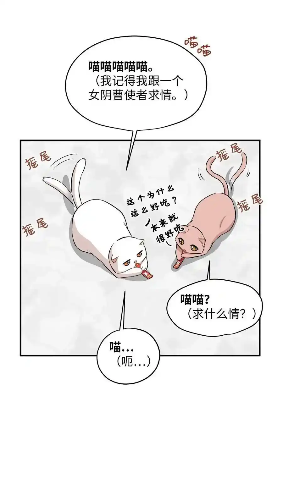 《为喵人生》44 隋仙华 第55页