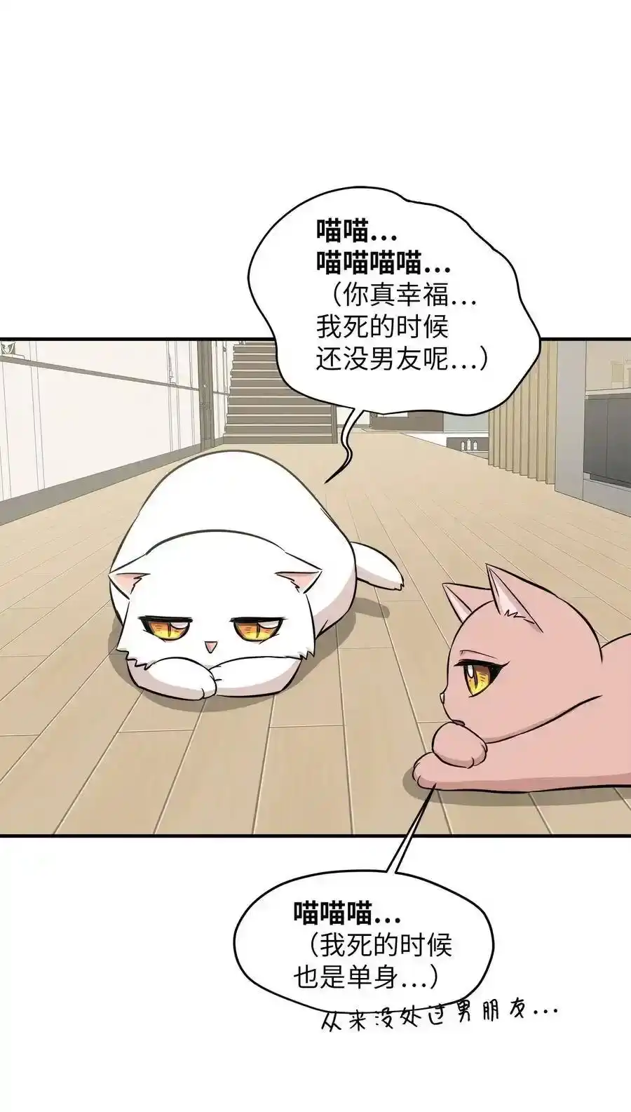 《为喵人生》44 隋仙华 第64页