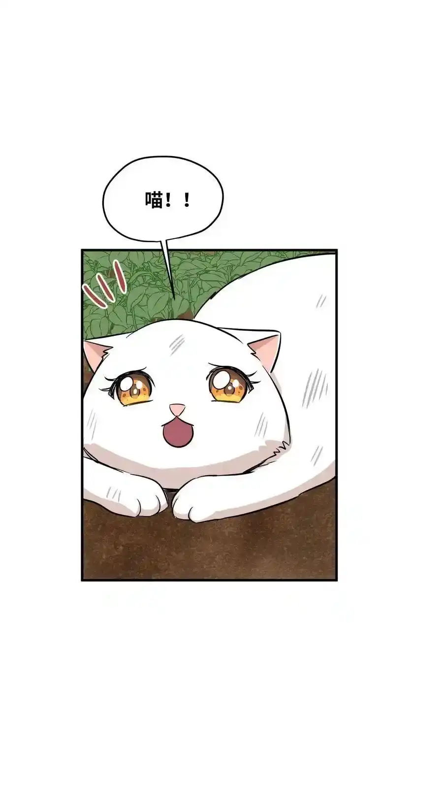 《为喵人生》44 隋仙华 第6页