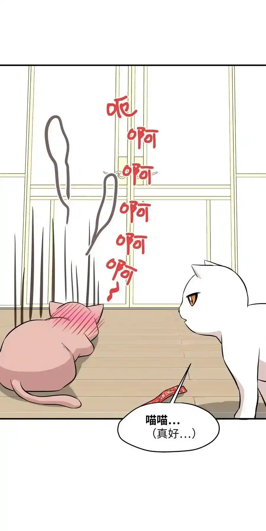 《为喵人生》44 隋仙华 第63页
