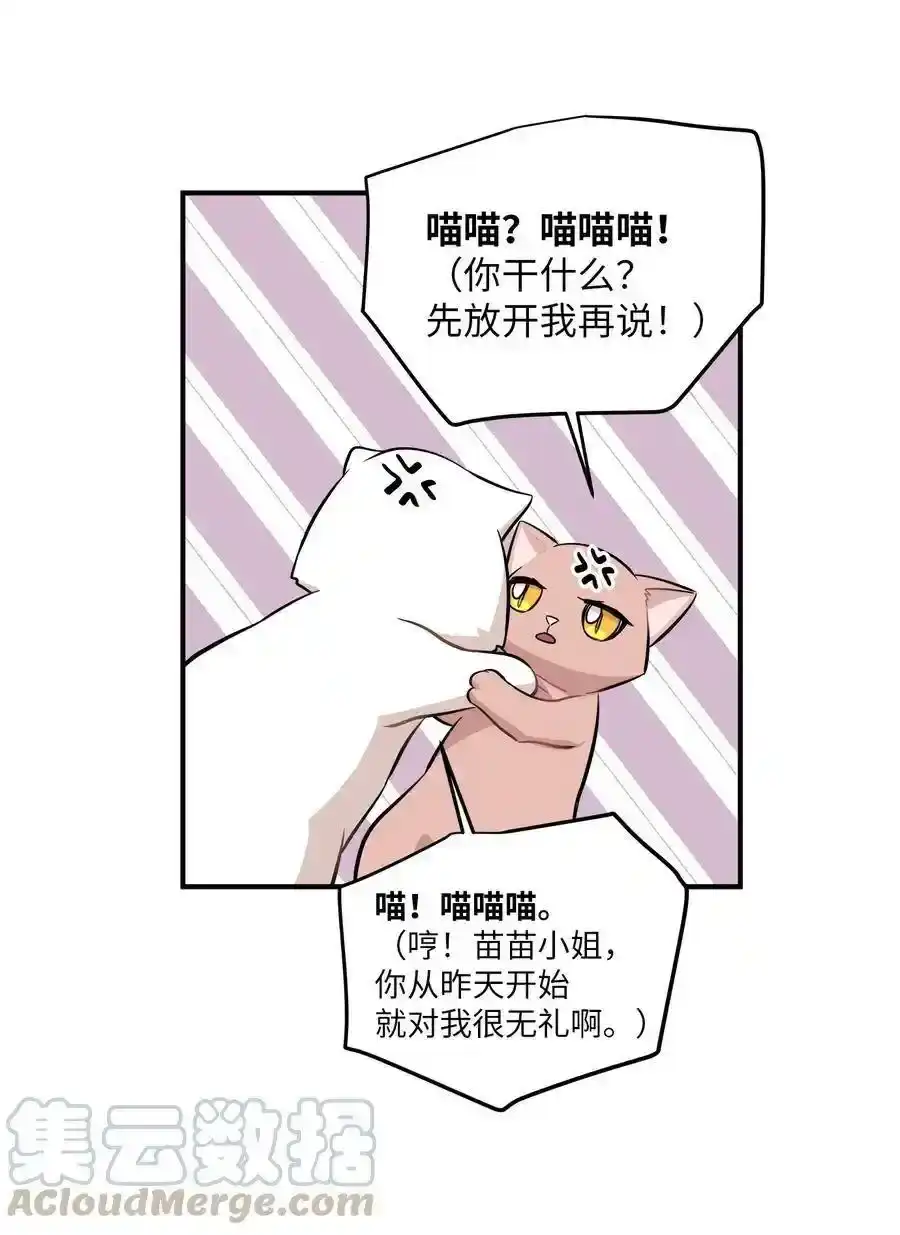 《为喵人生》44 隋仙华 第65页