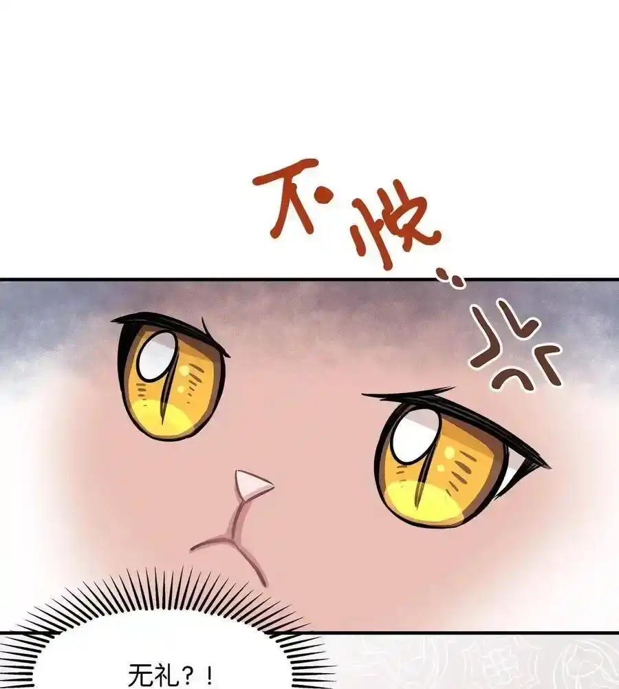 《为喵人生》44 隋仙华 第66页