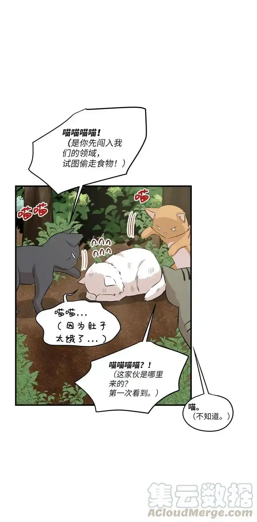《为喵人生》44 隋仙华 第5页