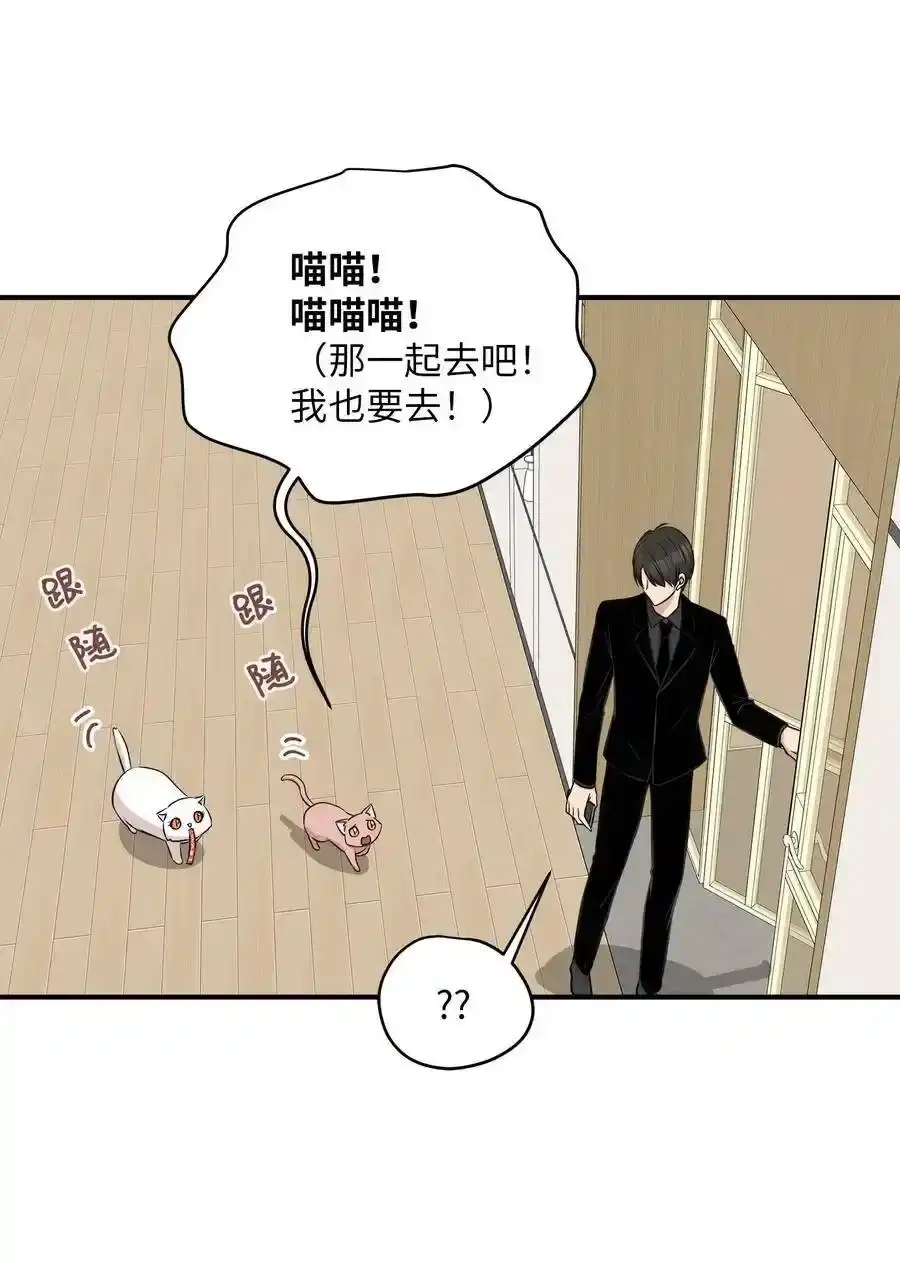 《为喵人生》44 隋仙华 第60页