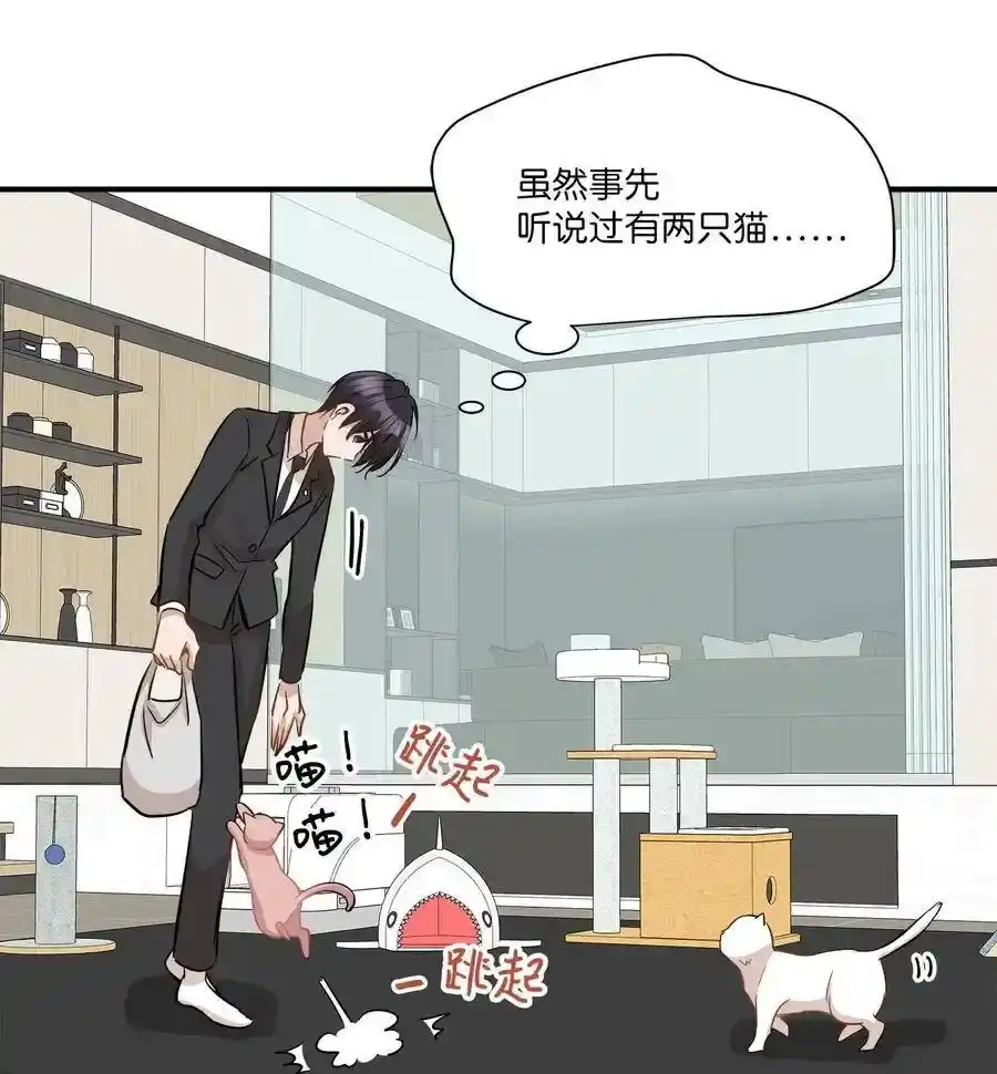 《为喵人生》45 奔赴葬礼 第46页
