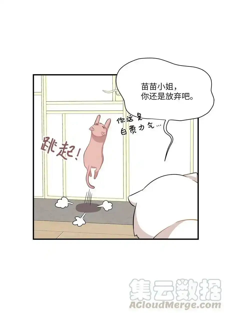 《为喵人生》45 奔赴葬礼 第5页