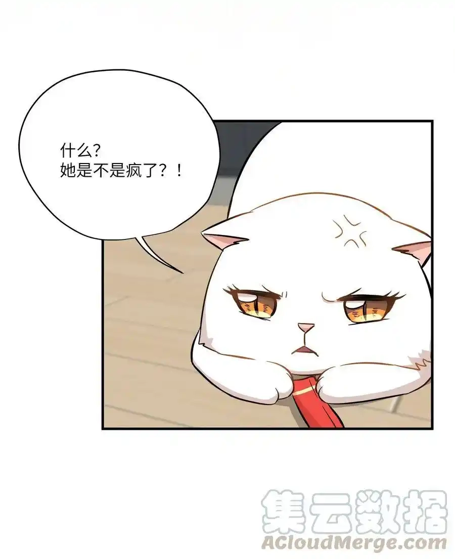 《为喵人生》45 奔赴葬礼 第9页