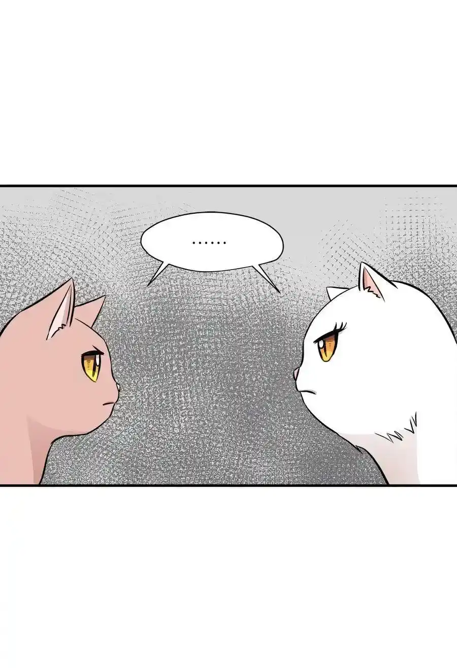 《为喵人生》45 奔赴葬礼 第18页