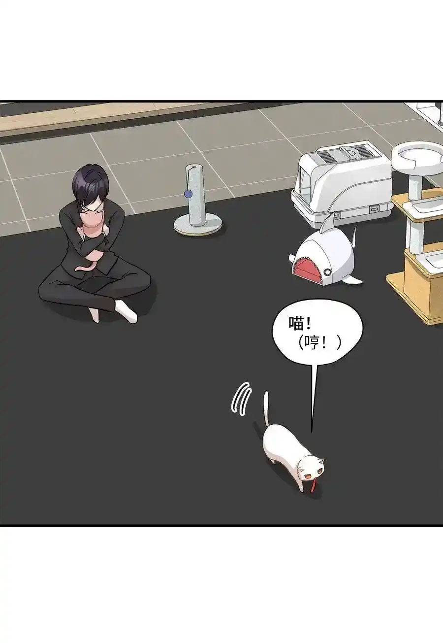 《为喵人生》45 奔赴葬礼 第67页