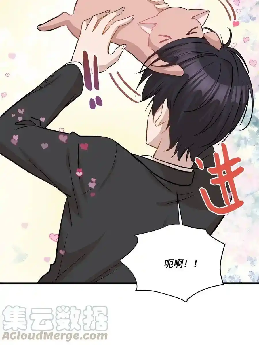 《为喵人生》45 奔赴葬礼 第65页