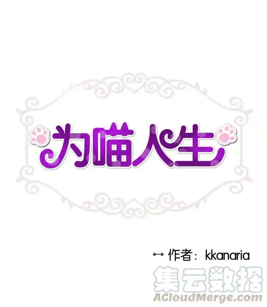 《为喵人生》45 奔赴葬礼 第1页
