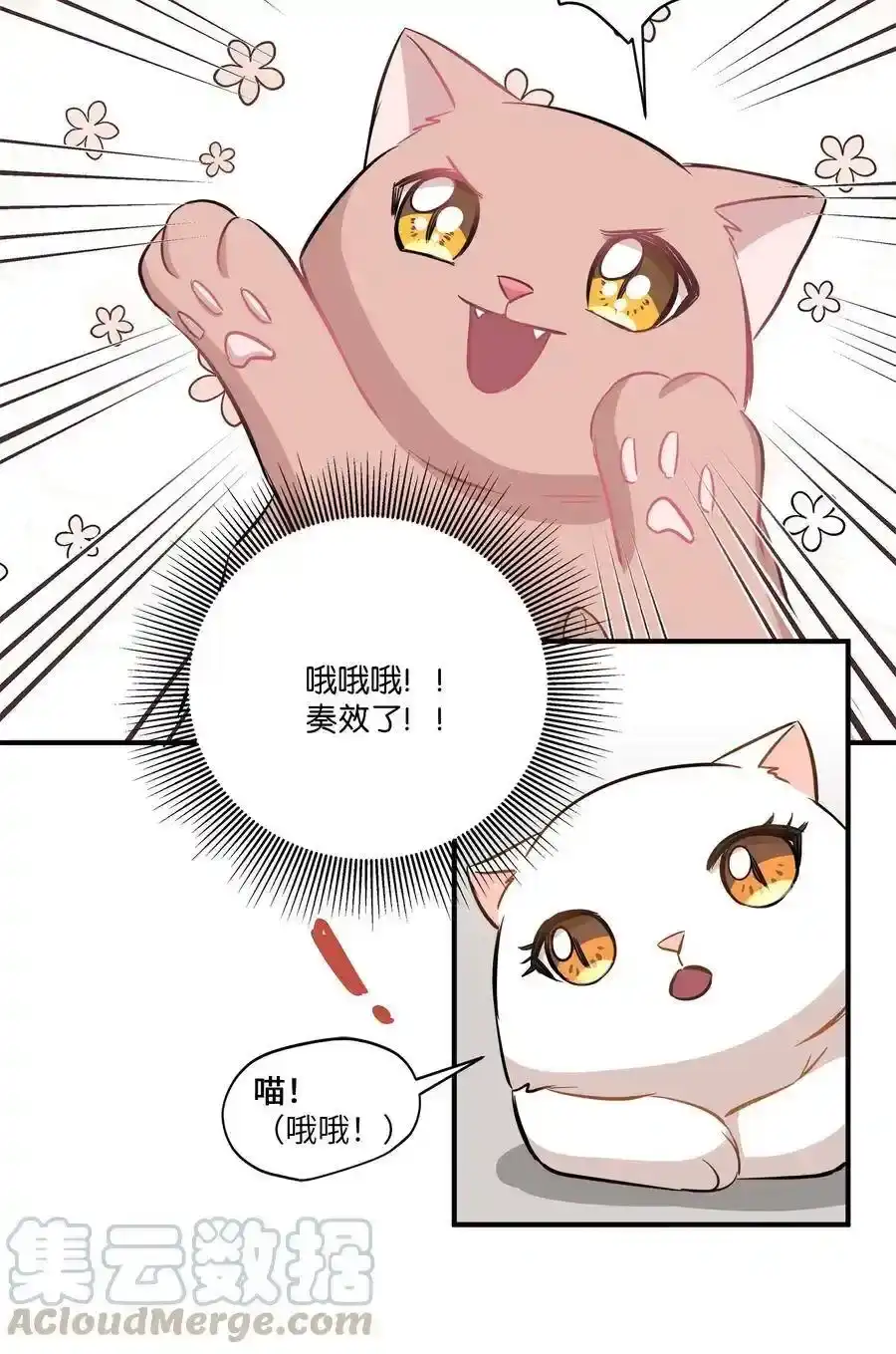 《为喵人生》45 奔赴葬礼 第53页