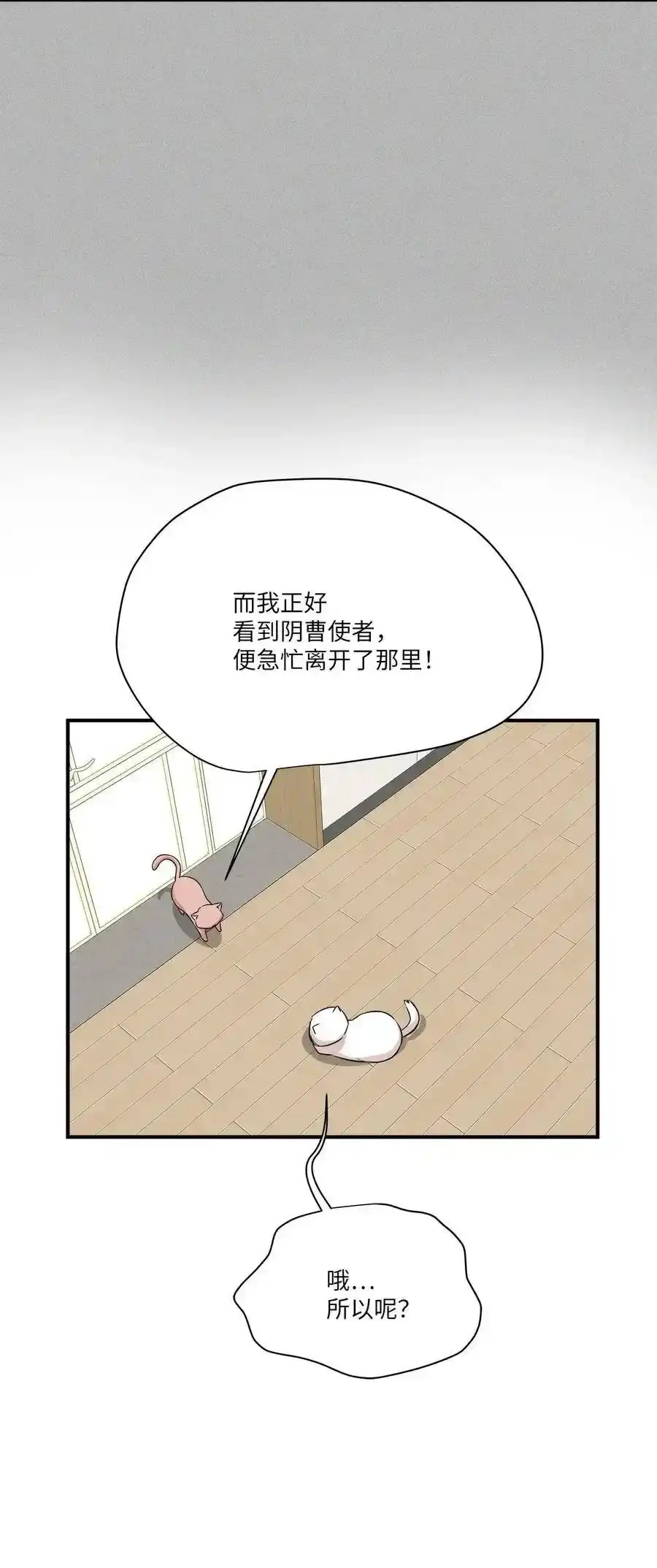 《为喵人生》45 奔赴葬礼 第15页