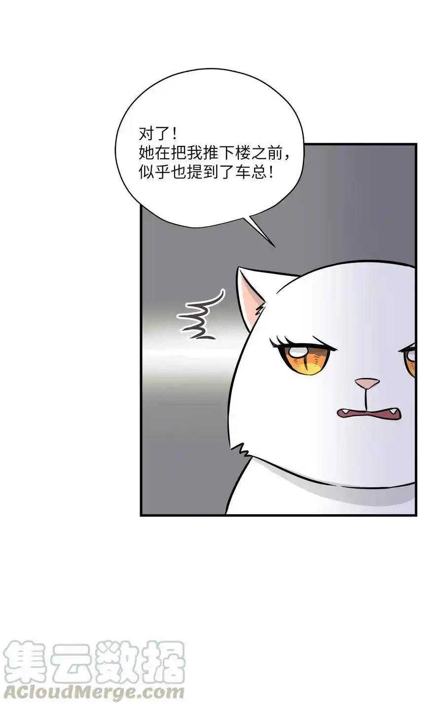 《为喵人生》45 奔赴葬礼 第17页