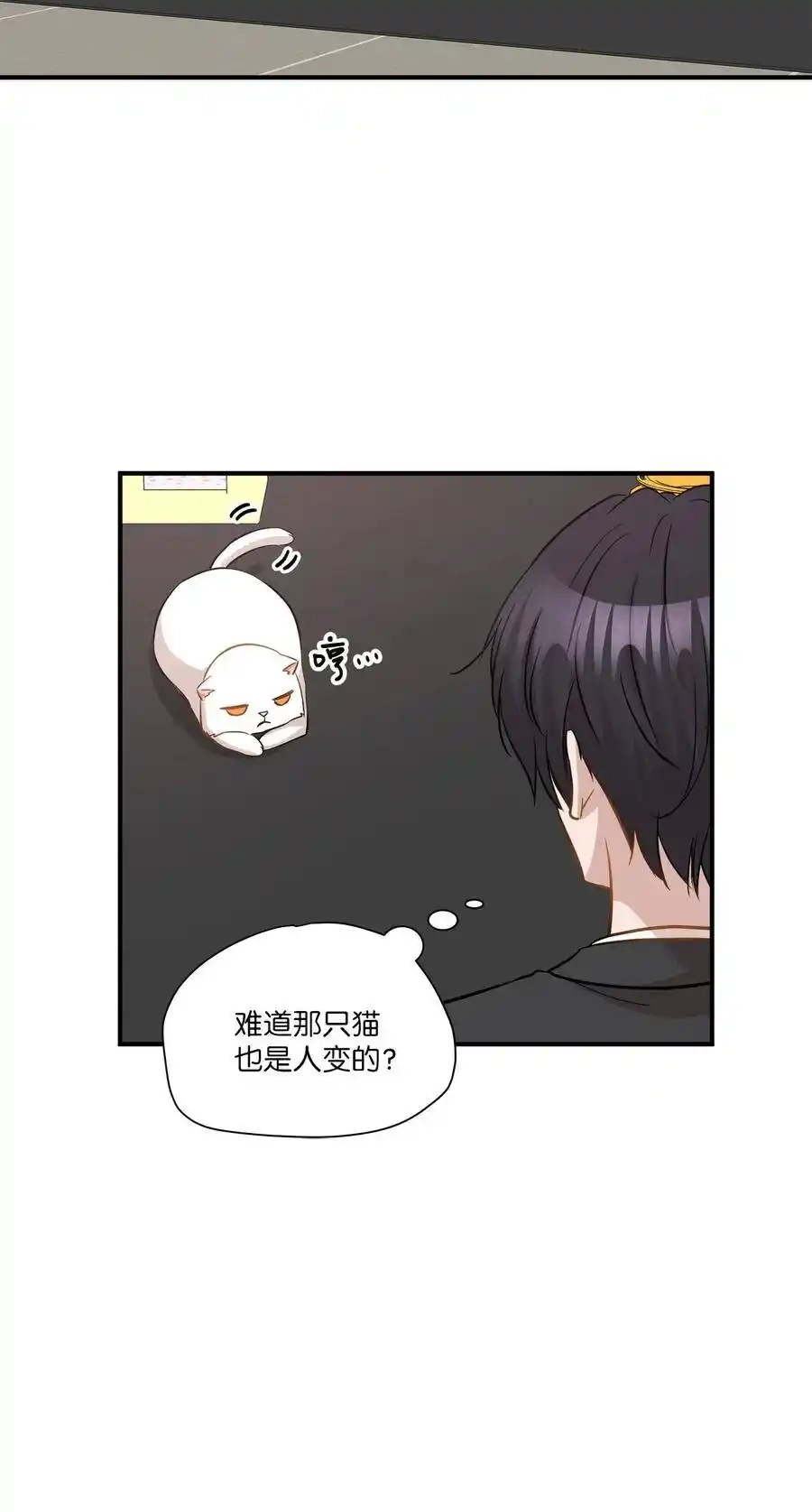 《为喵人生》45 奔赴葬礼 第47页