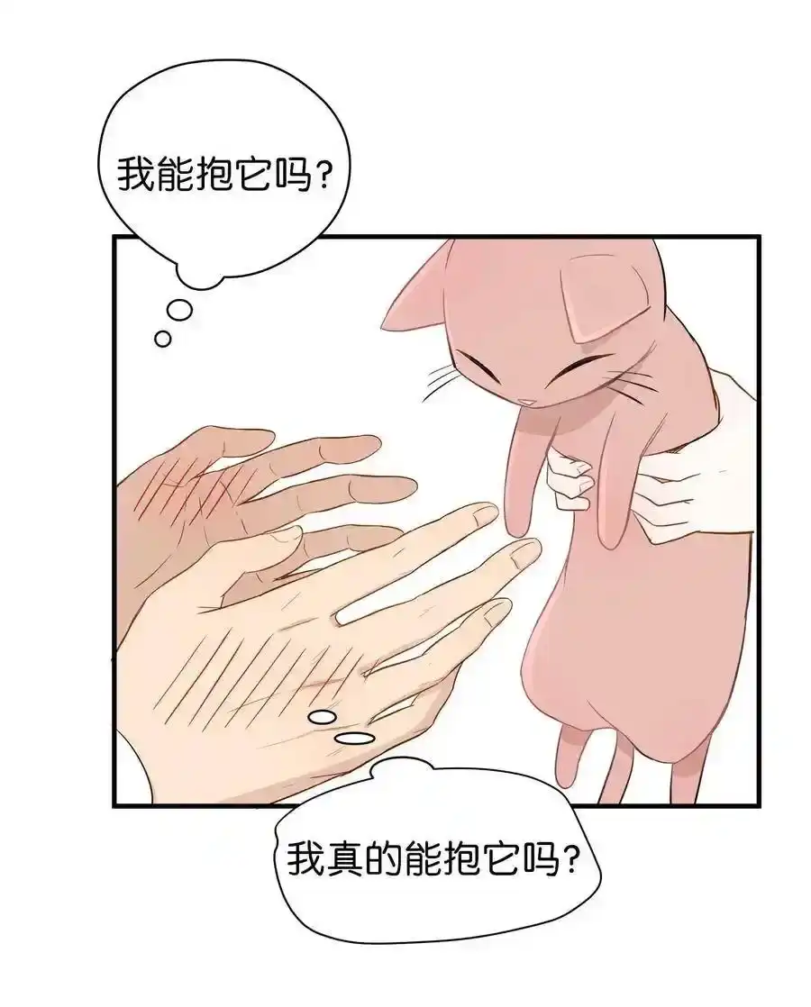 《为喵人生》05 阴间使者 第48页