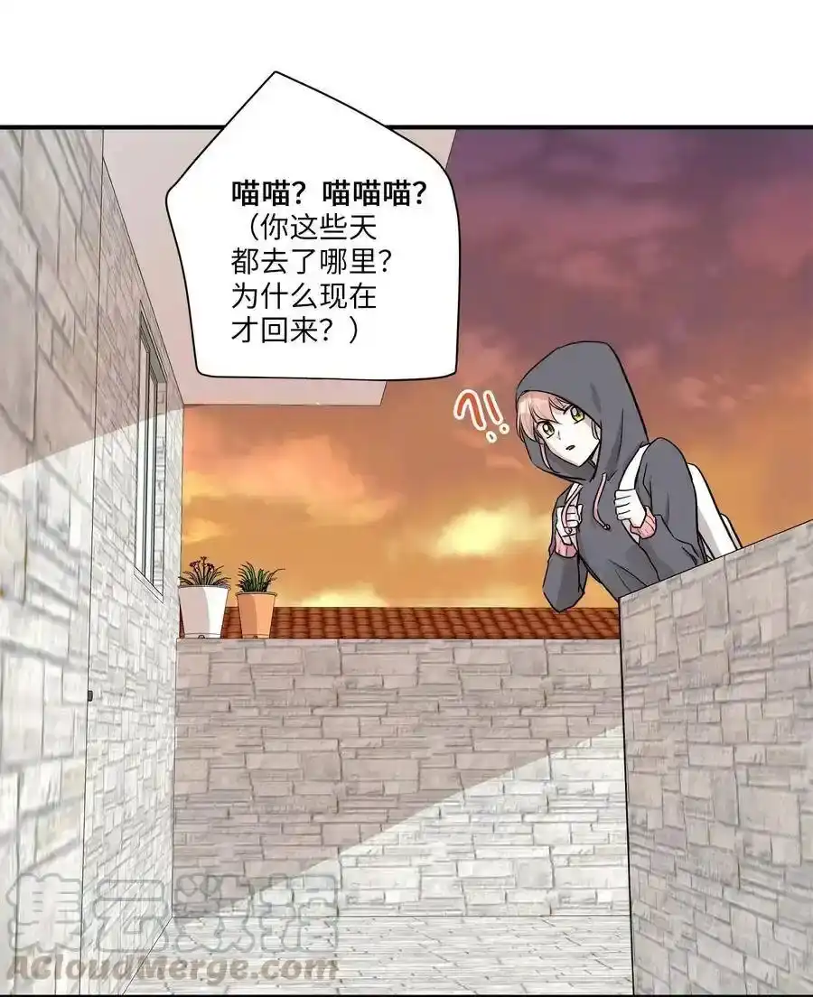 《为喵人生》52 黑猫使者 第22页