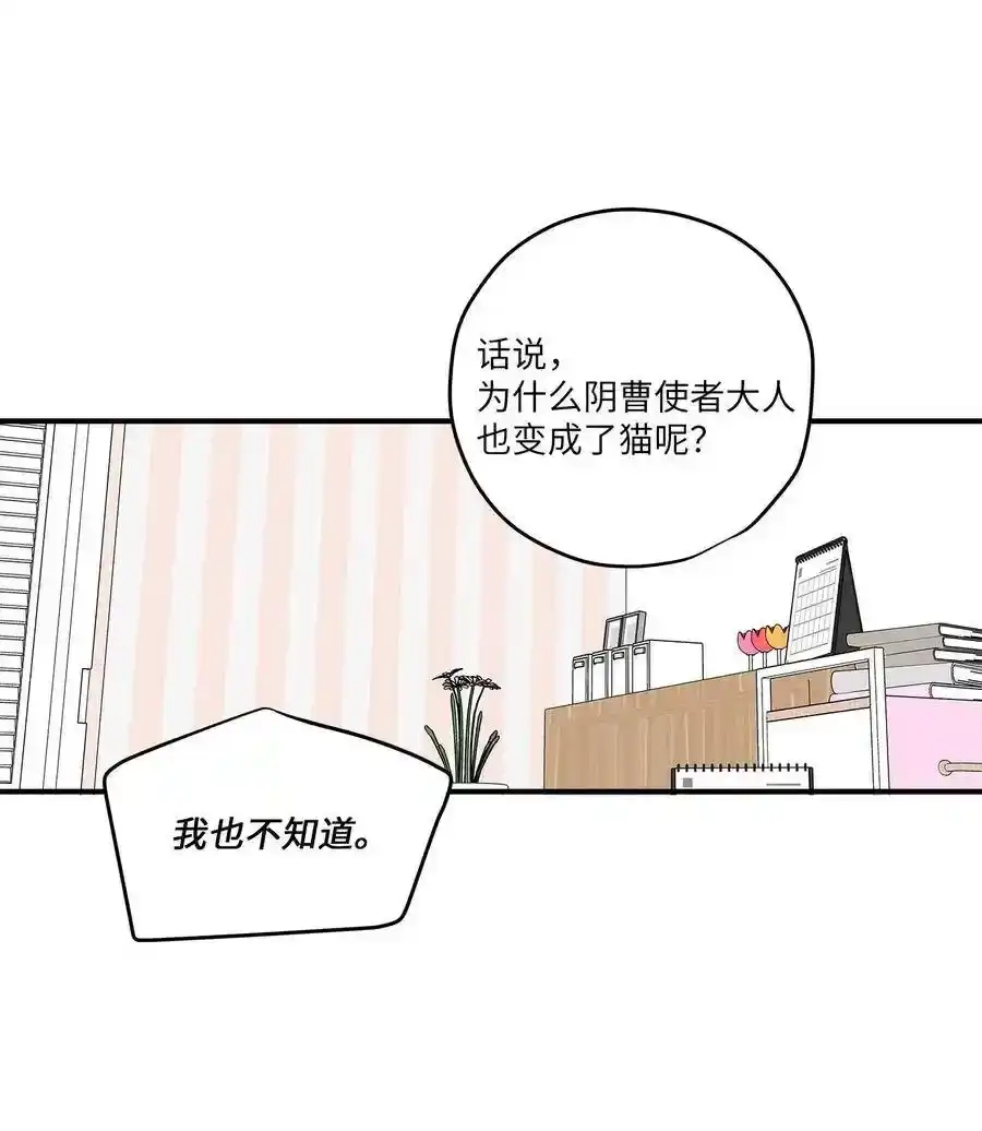 《为喵人生》53 再会隋科长 第9页