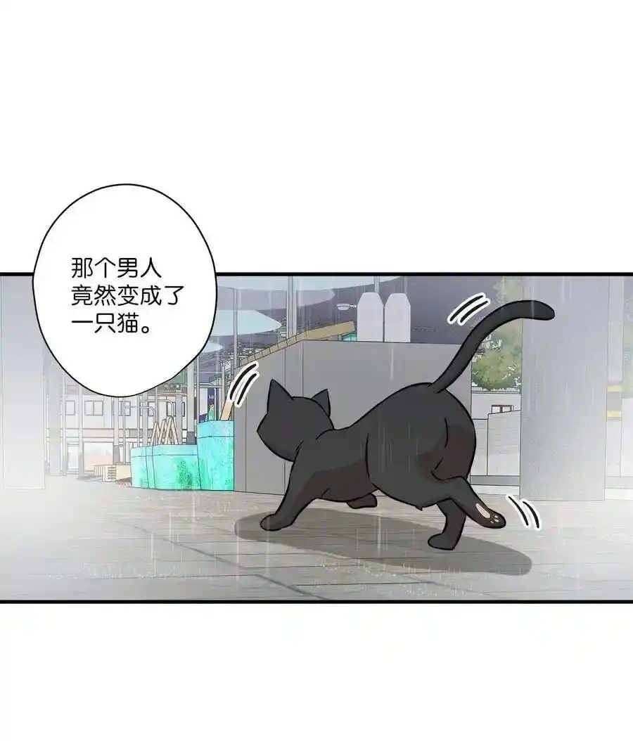 《为喵人生》55 两只猫 第27页